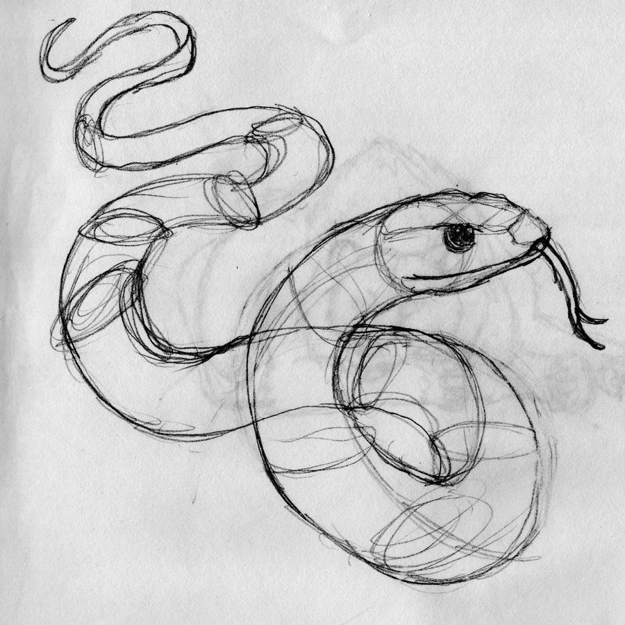 Easy Snake Drawing Artistic Sketching