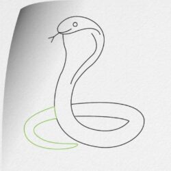 Easy Snake Drawing Image