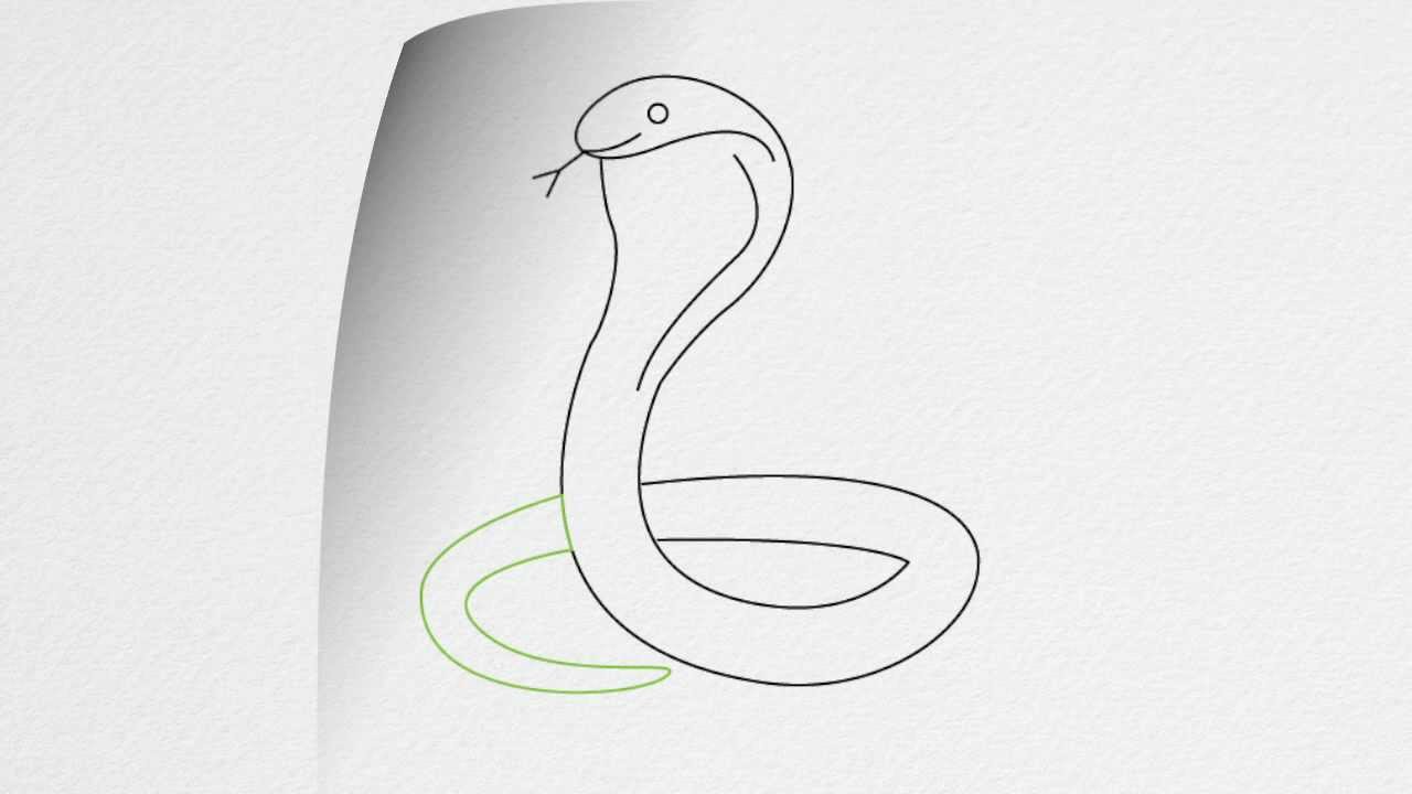 Easy Snake Drawing Image