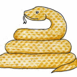 Easy Snake Drawing Intricate Artwork