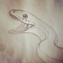 Easy Snake Drawing Modern Sketch