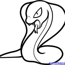 Easy Snake Drawing Photo