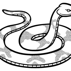 Easy Snake Drawing Picture