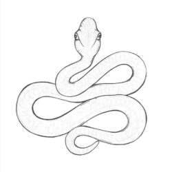 Easy Snake Drawing Stunning Sketch