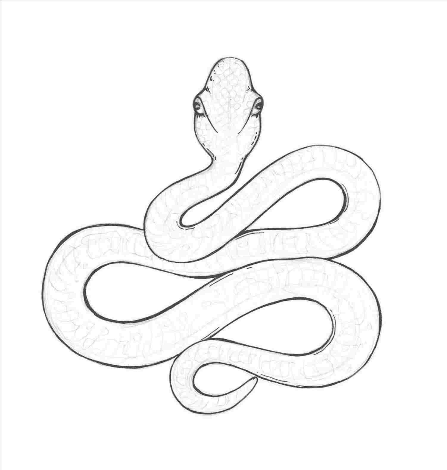 Easy Snake Drawing Stunning Sketch