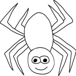 Easy Spider Drawing