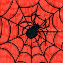 Easy Spider Drawing Art