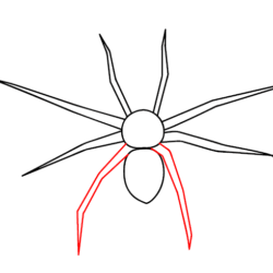 Easy Spider Drawing Artistic Sketching