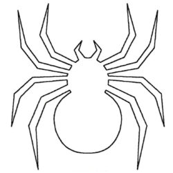 Easy Spider Drawing Image