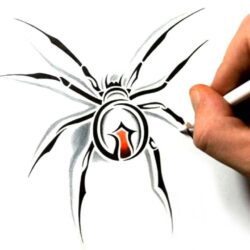 Easy Spider Drawing Sketch