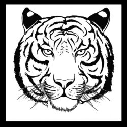 Easy Tiger Drawing Artistic Sketching