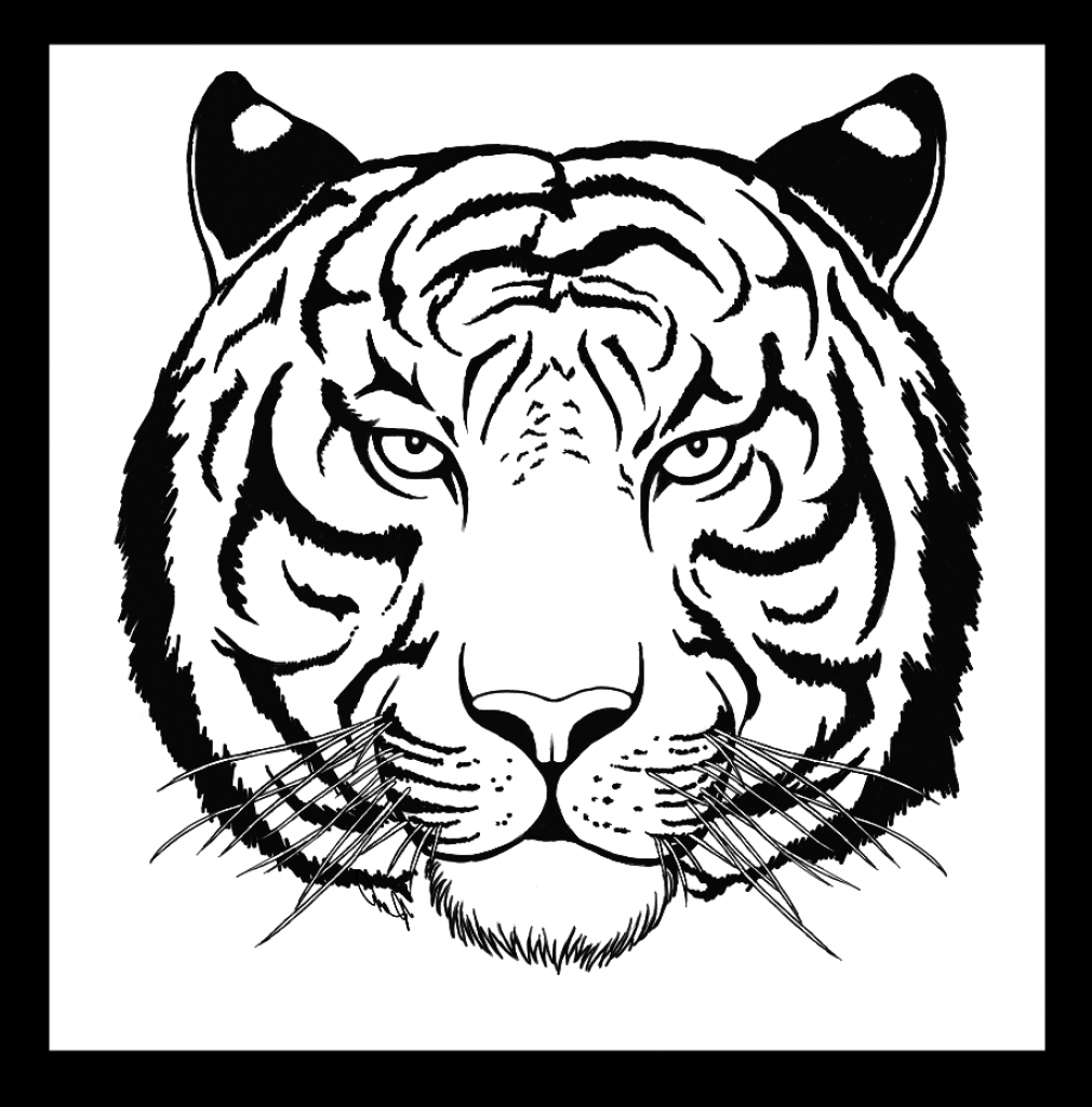 Easy Tiger Drawing Artistic Sketching