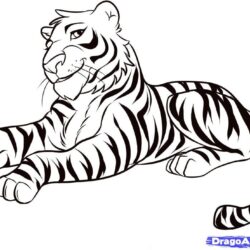 Easy Tiger Drawing Intricate Artwork