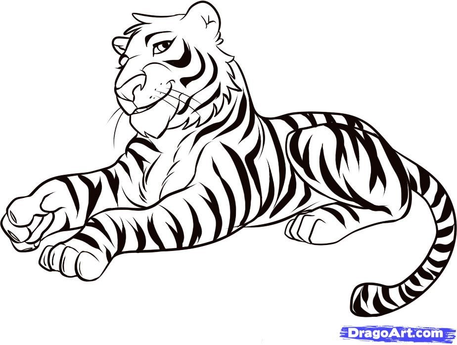Easy Tiger Drawing Intricate Artwork