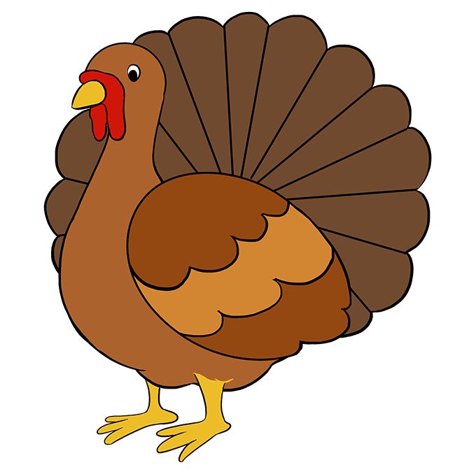 Easy Turkey Drawing Art