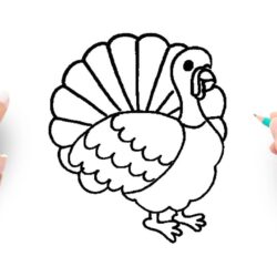 Easy Turkey Drawing Intricate Artwork