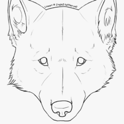 Easy Wolf Drawing Realistic Sketch