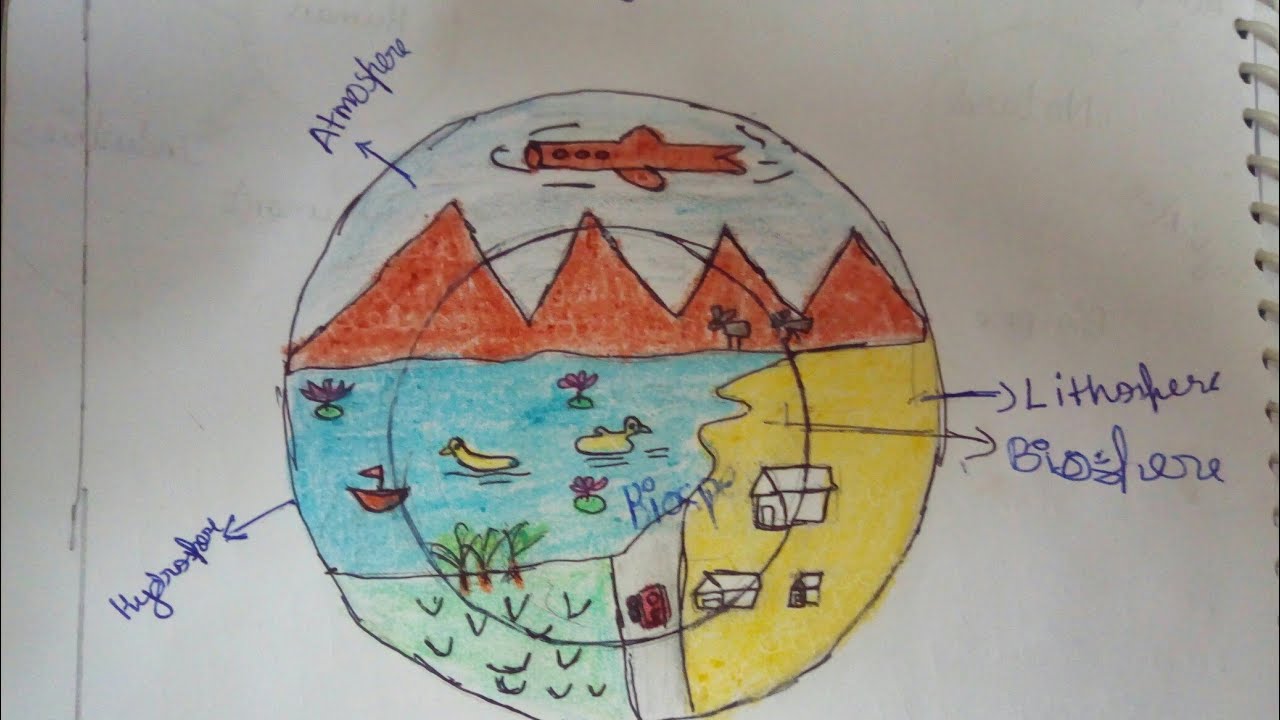 Ecosystem Drawing Artistic Sketching