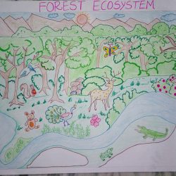 Ecosystem Drawing Sketch