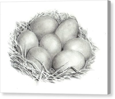 Eggs, Cooking, Versatile, Breakfast, Protein Drawing