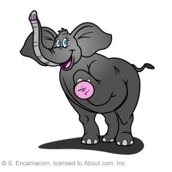 Elephant Cartoon Drawing Amazing Sketch