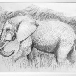 Elephant Drawing Intricate Artwork