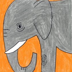 Elephant Drawing Unique Art