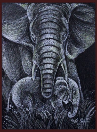 Elephant Family, Social Bonds, Conservation Efforts, Majestic Creatures, Wildlife Protection Drawing