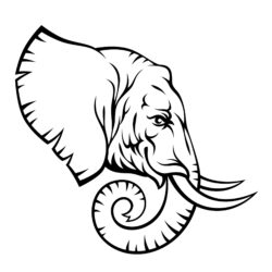 Elephant Head Drawing