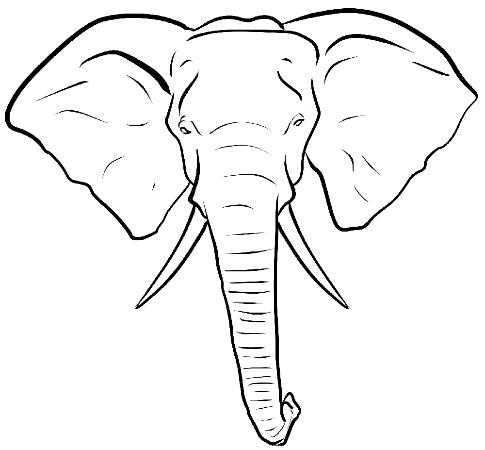 Elephant Head Drawing Art