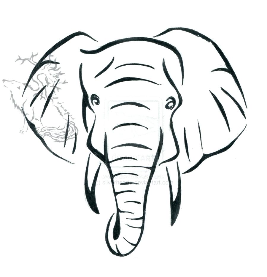 Elephant Head Drawing Realistic Sketch