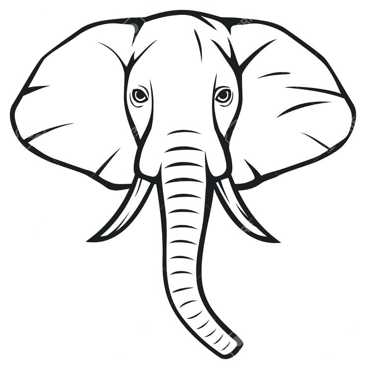 Elephant Head Drawing Unique Art