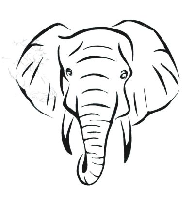 Elephant Head, Majestic, Iconic, Trunk, Safari, Wildlife Drawing