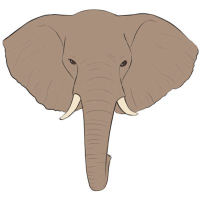 Elephant Head, Majestic, Iconic, Trunk, Safari, Wildlife Drawing