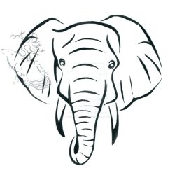 Elephant Simple Drawing Hand drawn