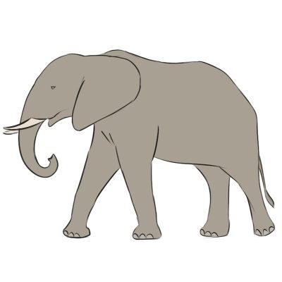 Elephant Simple, Clear Understanding, Basic Principles, Fundamental Ideas, Easy Concepts Drawing