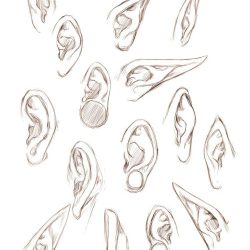 Elf Ear Drawing