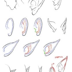 Elf Ear Drawing Amazing Sketch