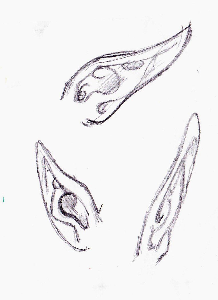 Elf Ear Drawing Modern Sketch