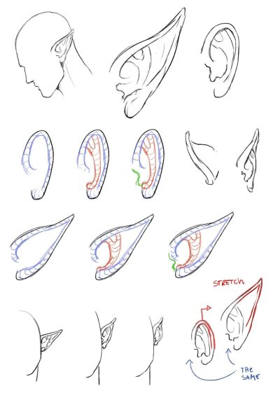 Elf Ear, Magical Design, Woodland Aesthetic, Fantasy Accessory, Cosplay Prop Drawing