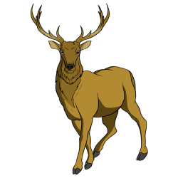 Elk Drawing Modern Sketch