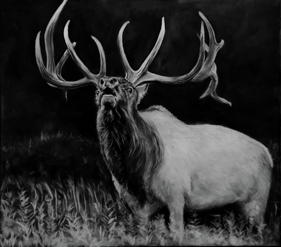 Elk Drawing Picture