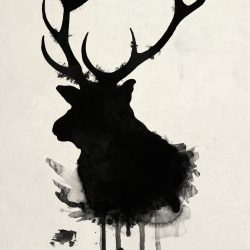 Elk Drawing Sketch