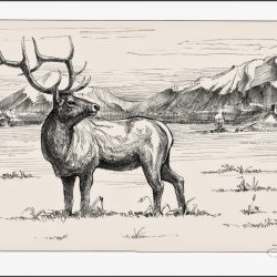 Elk Drawing Unique Art