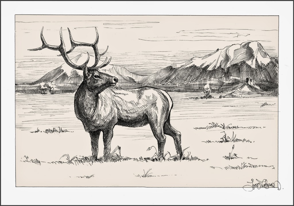 Elk Drawing Unique Art