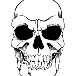 Evil Skull Drawing Photo