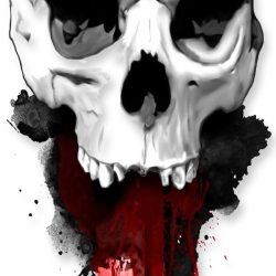 Evil Skull Drawing Professional Artwork