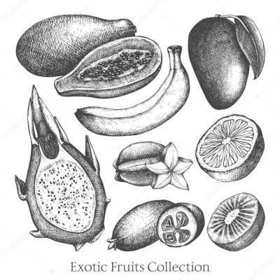 Exotic, Rare, Unique, Uncommon, Fascinating Drawing