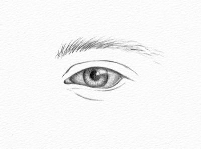 Eye, Gaze, Vision, Glance, Focus Drawing