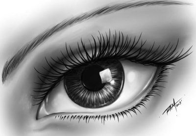 Eye, Gaze, Vision, Glance, Focus Drawing